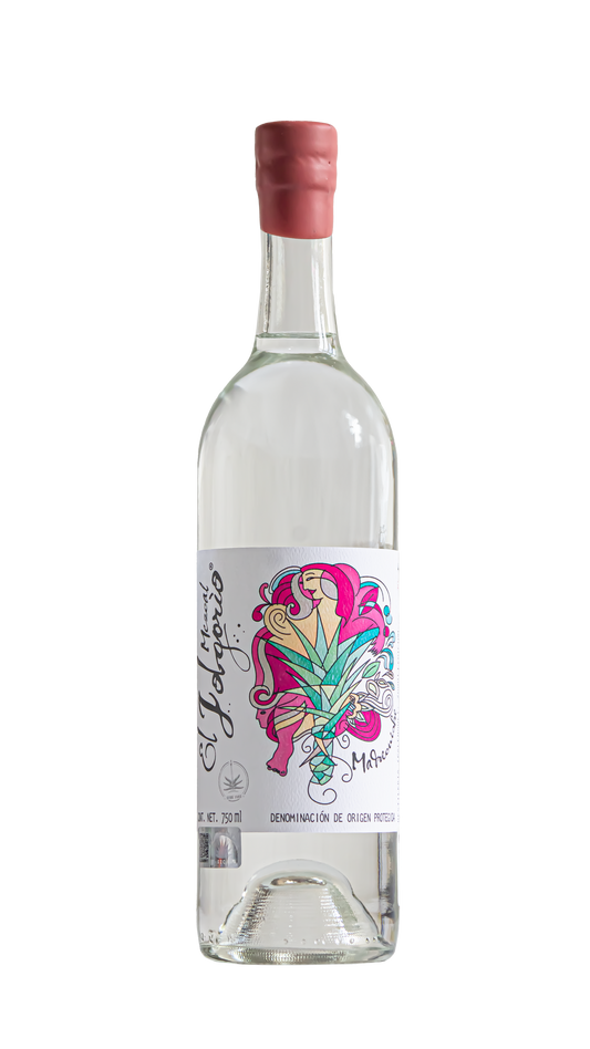 El Jolgorio Madrecuishe